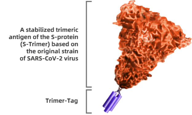 S-Trimer